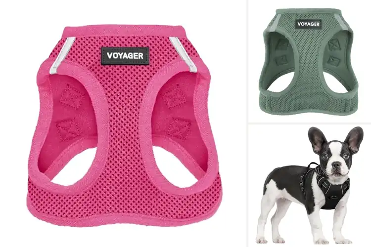 Detailed view of Best Small Dog Harnesses: Escape-Proof & Comfortable Walks