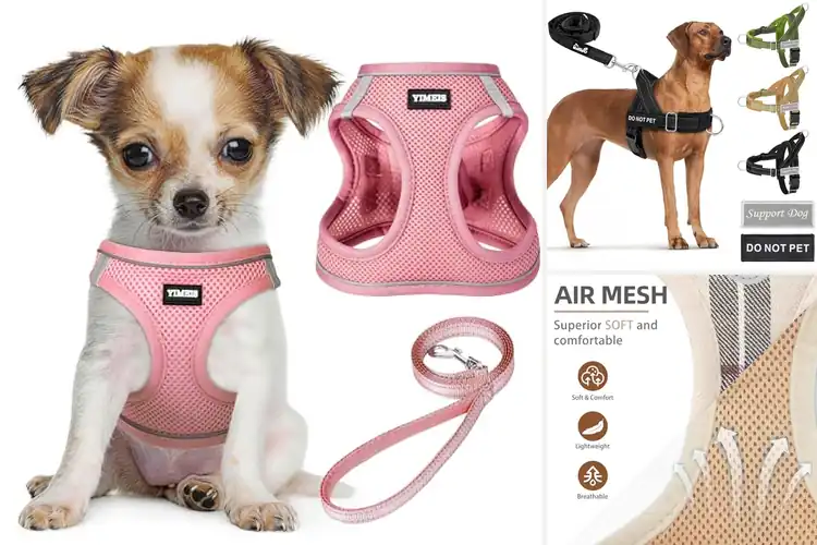 Detailed view of Best Soft Dog Harness And Leash Sets