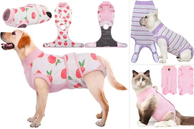 Detailed view of Best Spay Recovery Suits