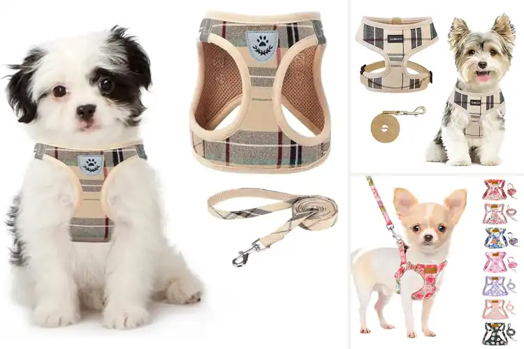 Detailed view of Best Stylish Dog Harnesses: Top Picks for Comfort & Safety