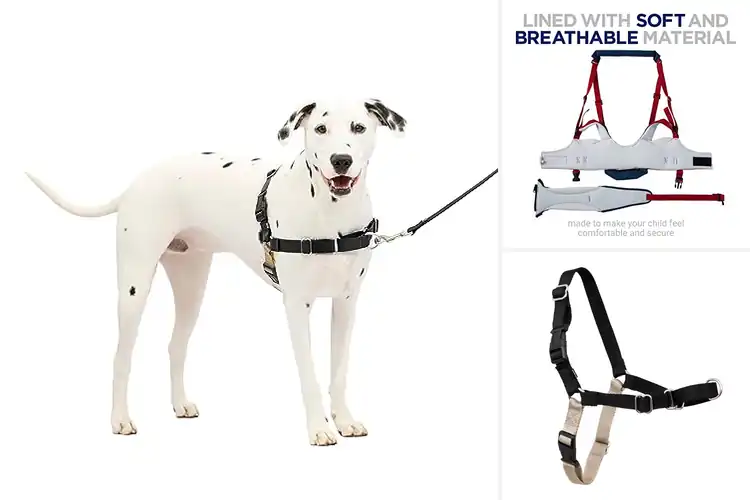 Detailed view of Best Walking Harnesses Top Picks for Stress-Free Adventures